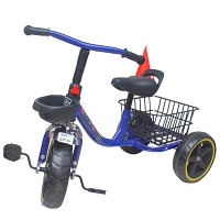 Tricycle for Twins (Blue)